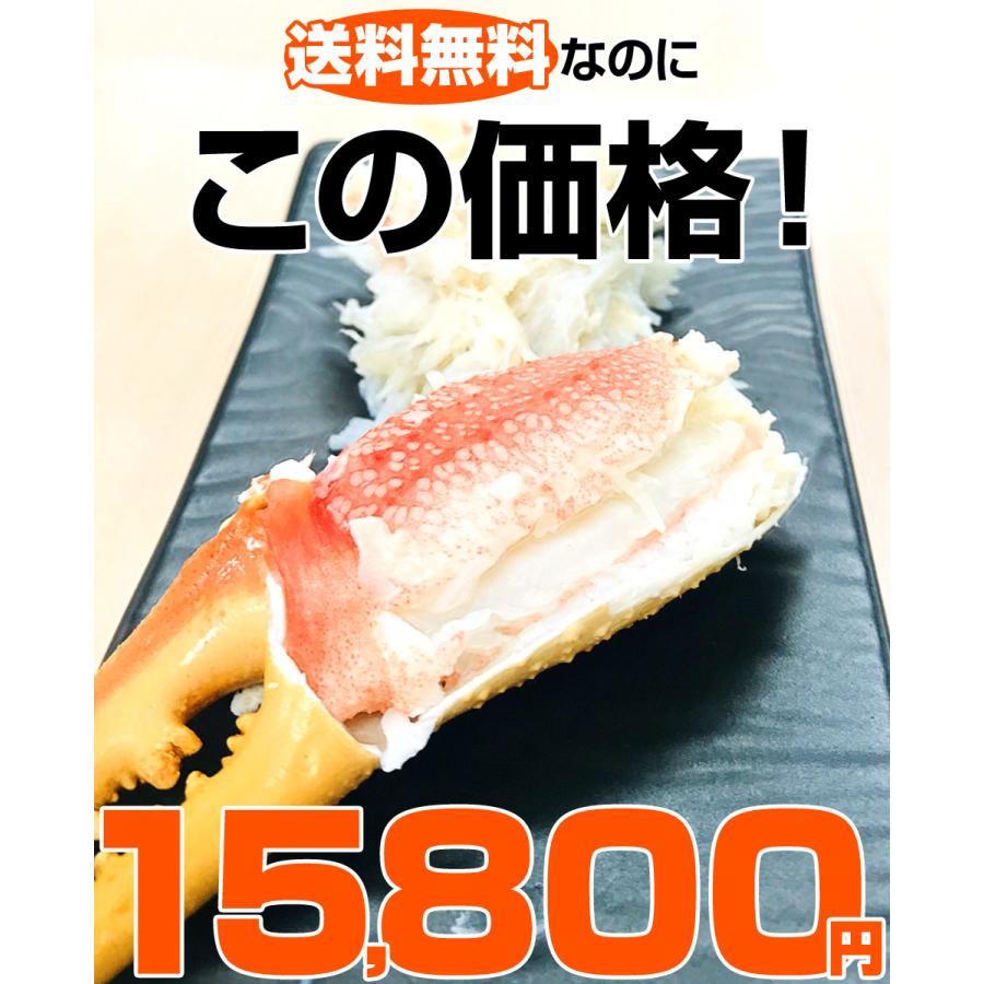 ズワイガニ足 2l 3kg ずわいがに 蟹 ズワイ足 プレゼント 北海道 ずわい ズワイ カニ 焼きガニ カニ足 敬老の日 敬老会 文化祭 祖父母 ハロウィン Uosu Y Zuwai ウオス進風水産直営店 通販 Yahoo ショッピング