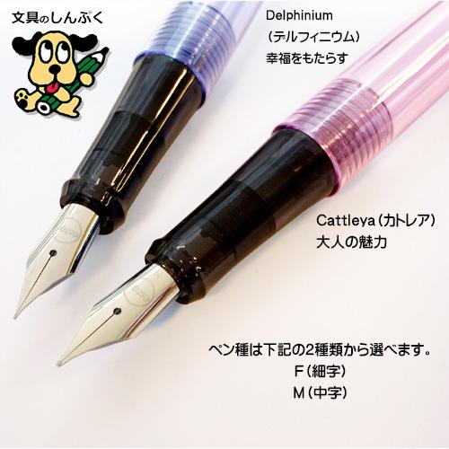 限定商品 オエステ会 オリジナル 万年筆 限定本数 ロンガージュ デ フルー （LIGHTIVE Langage des fleurs） OM-FLTOE24 パイロット（Z）｜shinpukue-shop｜05