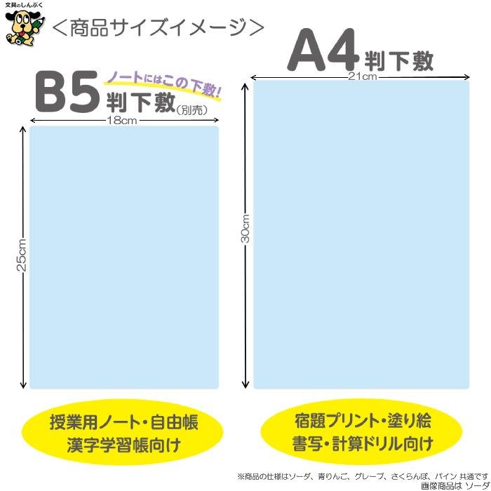 下敷き 楽天市場】期間限定セール 下敷き A4サイズ やわカタ 裏表で書き