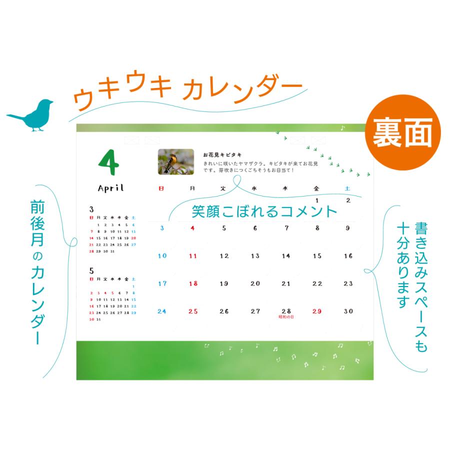 かわいい小鳥カレンダー 卓上 21年 Rs Cal 21 004 公式シンラショップ Yahoo 店 通販 Yahoo ショッピング