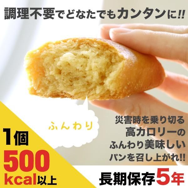 非常食 保存食 防災食品 パン ライフブレッド 9個セット 甘くて