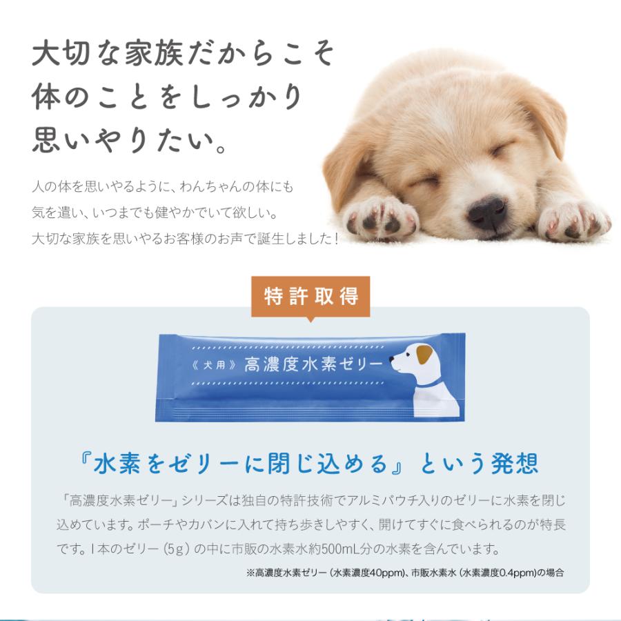 高濃度水素ゼリー犬用 31本入り シンリョウヘルスケア公式 水素 高濃度水素ゼリー犬用 31本入り シンリョウヘルスケア公式 水素