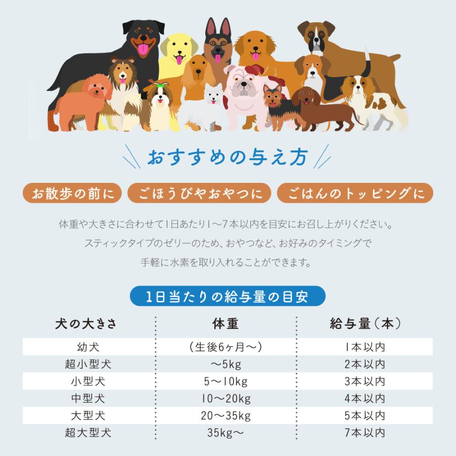 高濃度水素ゼリー犬用 120本セット　シンリョウヘルスケア公式｜shinryohealthcare｜10