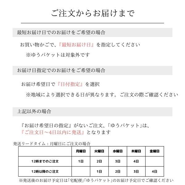 ワイドトレッドスペーサー 10mm ワイトレ 国産 日本製 PCD100 4H/4穴