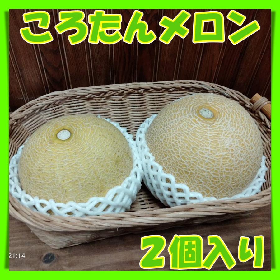 完全無農薬】ころたん コロタン メロン 産地直送 厳選栽培