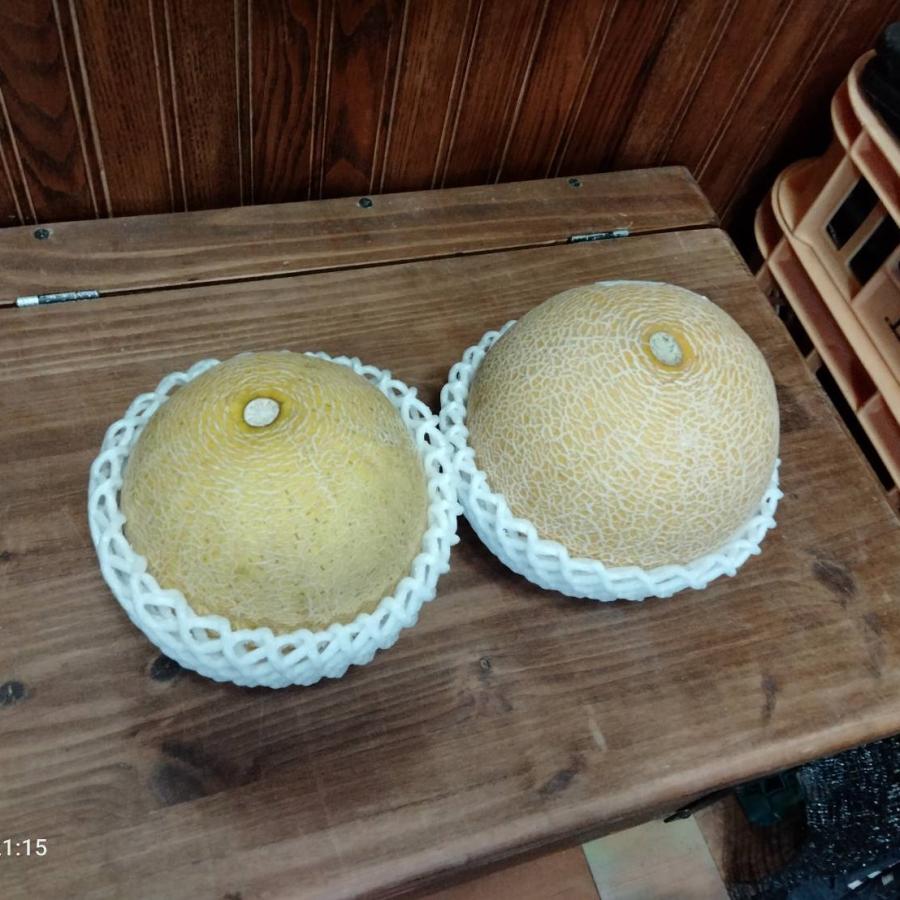 完全無農薬】ころたん コロタン メロン 産地直送 厳選栽培 ギフト