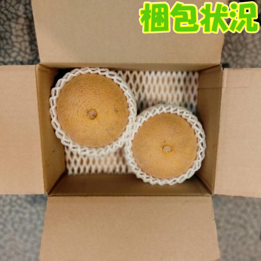 ころたん 完全無農薬】ころたん コロタン メロン 産地直送 厳選栽培