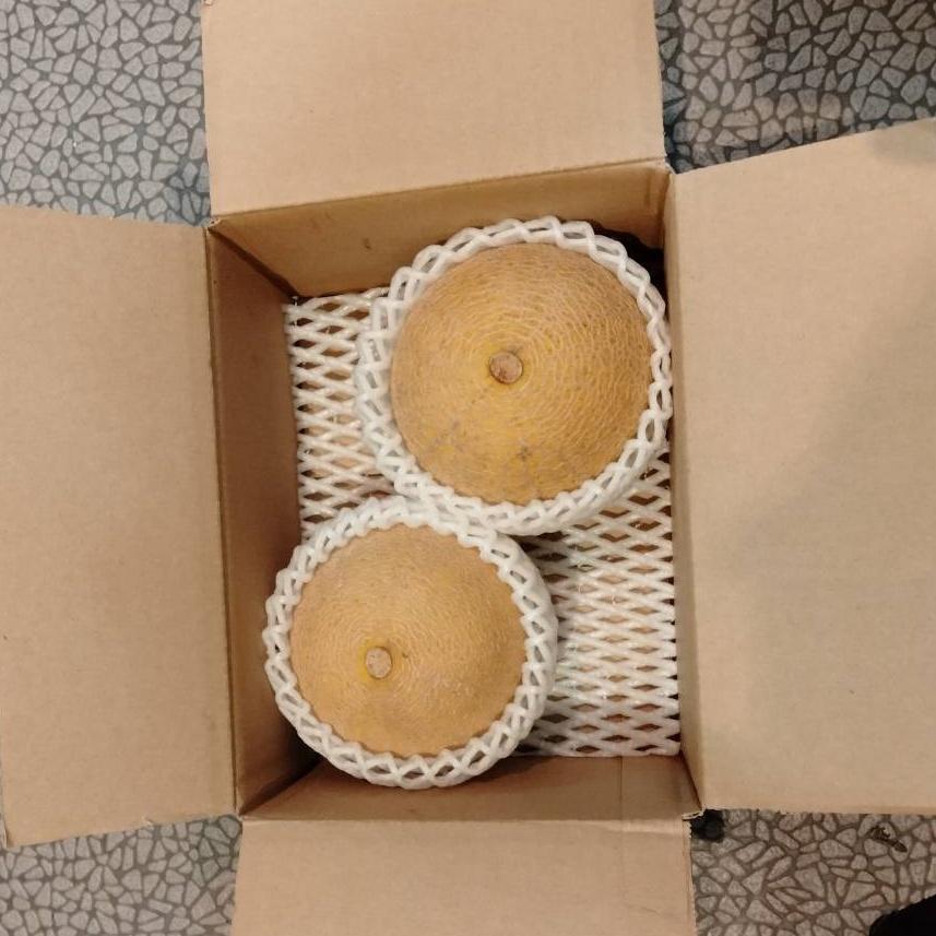 完全無農薬】ころたん コロタン メロン 産地直送 厳選栽培 ギフト