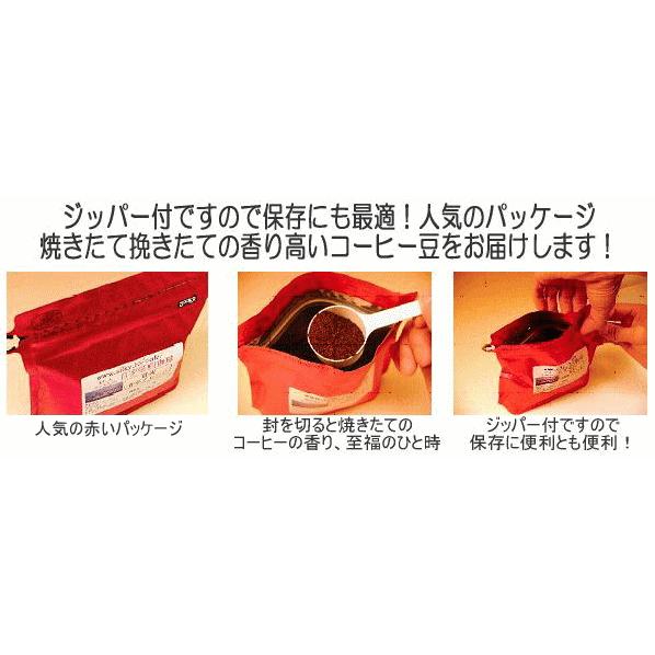 アイスコーヒー コーヒー豆 水出し珈琲 約100杯分 500g×2袋 合計1kg 送料無料 信州珈琲 ハリオ水出し珈琲ポットをお持ちの方用 |  | 04