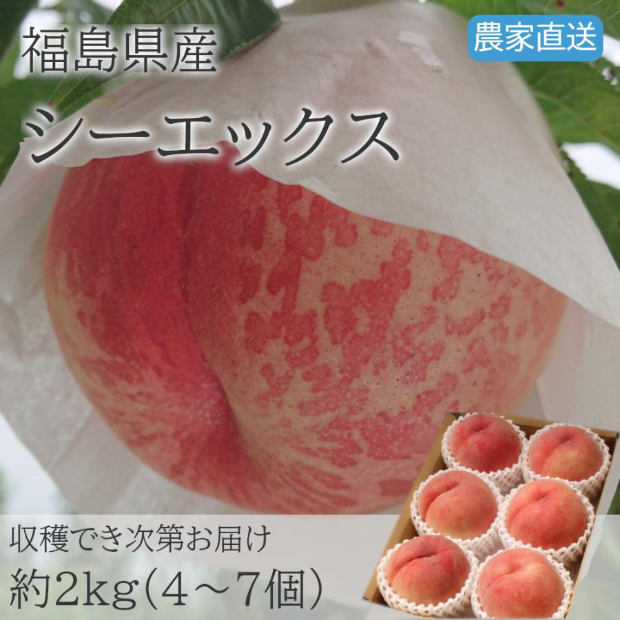 桃 福島県産 シーエックス 2kg（4〜7個） 9月中旬以降お届け 常温便