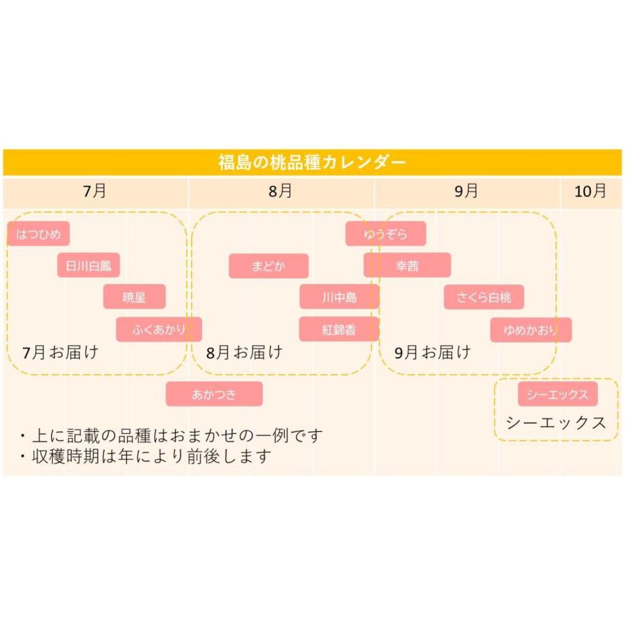桃 福島県産 シーエックス 2kg（4〜7個） 9月中旬以降お届け 常温便