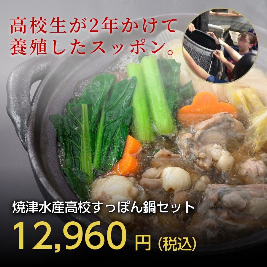すっぽん スッポン すっぽん鍋セット 二年養殖 抗生物質不使用 焼津水産高校 黒門市場 鼈 コラーゲンたっぷり 薬膳 黒門市場 新魚栄 通販 Yahoo ショッピング
