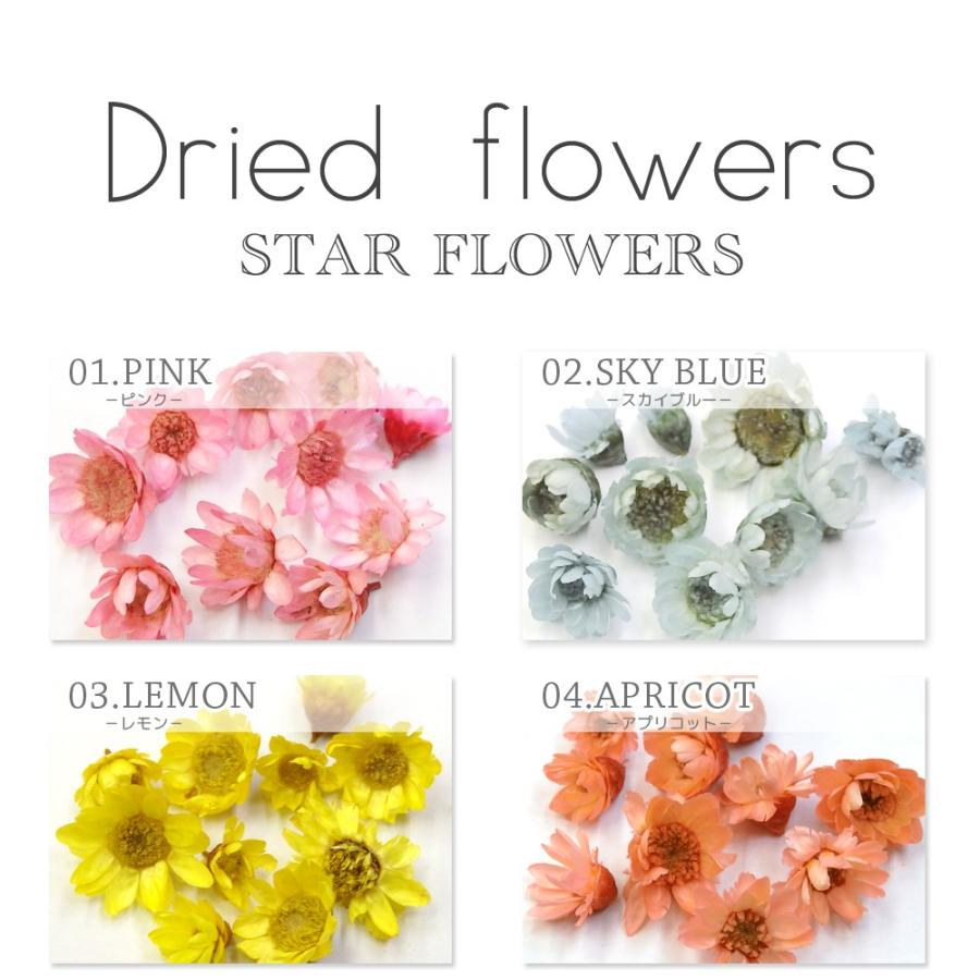 ネイルパーツ ブリザードフラワー ビビッドカラー 12種 花 ハンドメイド レジン ガラスドーム プロネイルbox 通販 Yahoo ショッピング