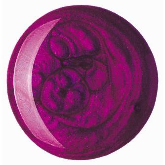 SpaRitual スパリチュアル ネイルラッカー 品番80002  ドロップデッドゴージャス 15mL  SpaRitual JAPAN 直営店 |  | 01