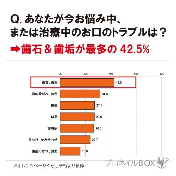 ステンレス製デンタルミラー 2倍拡大鏡 検査棒付き 歯鏡  虫歯予防 歯槽膿漏 歯石 ヤニ 取り用 高耐久性 医療機器 |  | 05