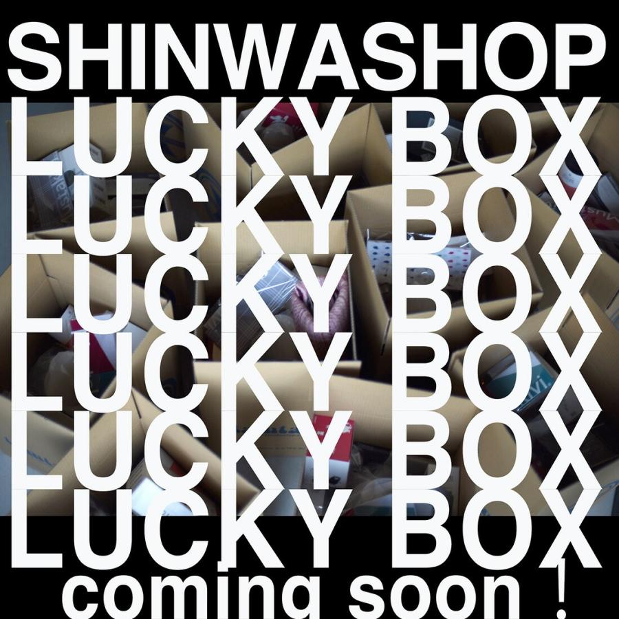 2024年 シンワショップ LuckyBox 7点+αセット 福袋 ラッキーボックス TAMTAM STUB360 Mustakivi TENUGUI｜shinwashop｜04