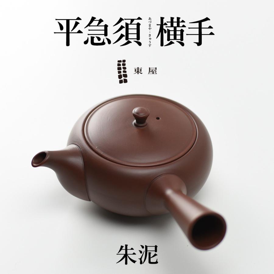 東屋 あづまや 平急須 横手 朱泥 茶 湯呑 茶葉 ティーポット 茶器 猿山修 Azumaya Aztk00114 Shinwashop 通販 Yahoo ショッピング