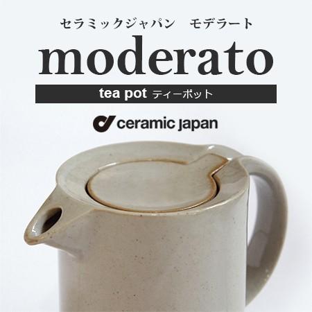 ceramic japan　セラミック・ジャパン/moderato モデラート tea pot ティーポット 500ml｜shinwashop