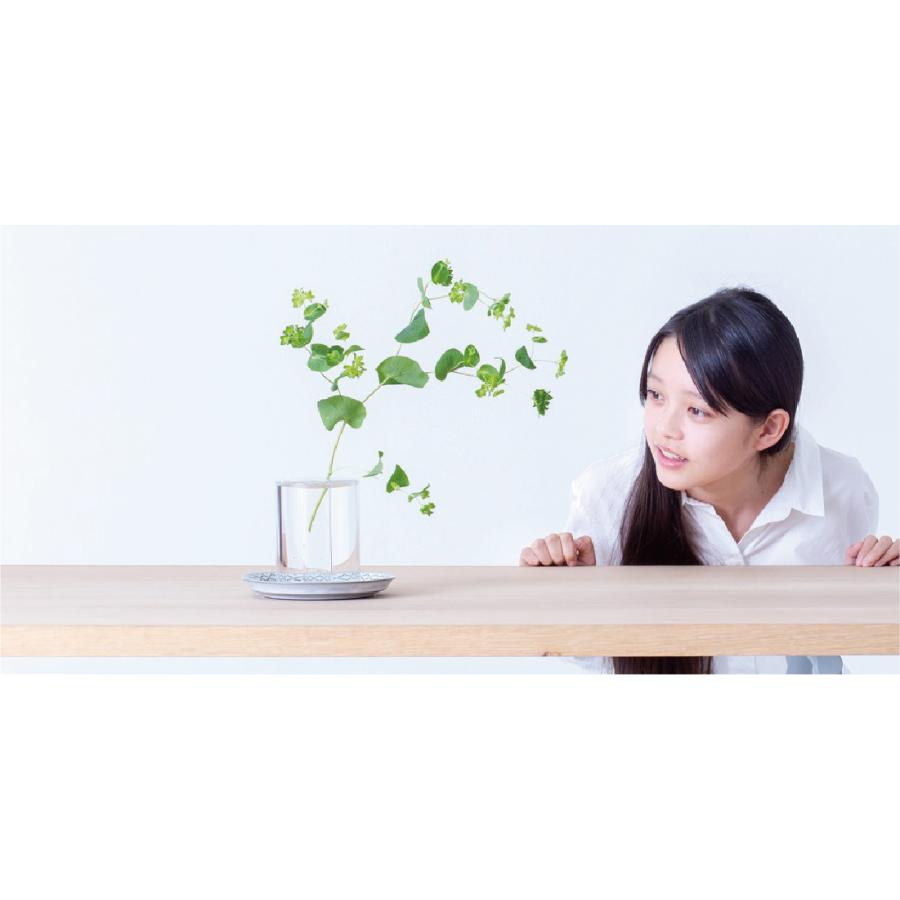 CRITIBA クリチーバ SHALLOWS No.4 シャロウズ フラワーベース 花瓶