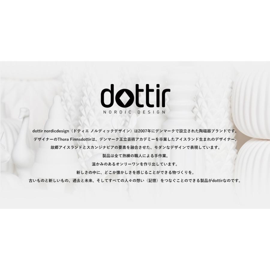 dottir nordicdesign ドティエ ノルディックデザイン Samsurium