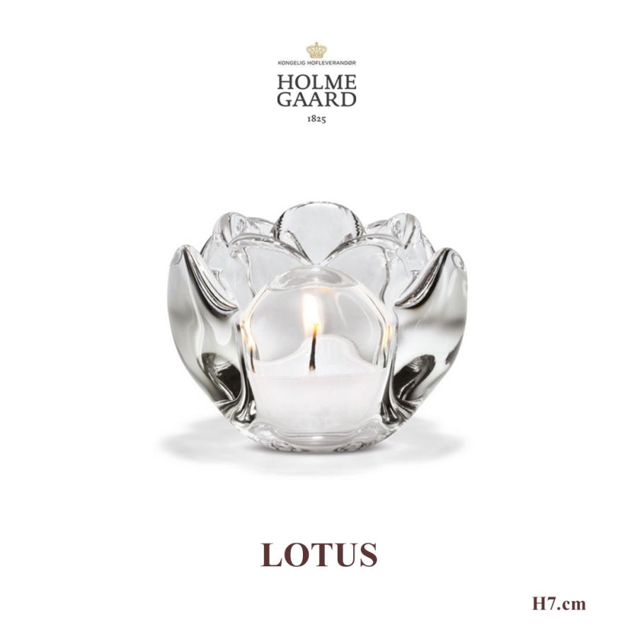 HOLMEGAARD LOTUS H7cm ロータス M キャンドルホルダー ホルムガード 4341631ライト キャンドルホルダー / ギフト/テーブルランプ/北欧/ :hol-lotus7:ShinwaShop - 通販 - Yahoo!ショッピング HOLMEGAARD LOTUS H7cm ロータス M キャンドルホルダー ホルムガード 4341631ライト キャンドルホルダー / ギフト/テーブルランプ/北欧/ :hol-lotus7:ShinwaShop - 通販 - Yahoo!ショッピング