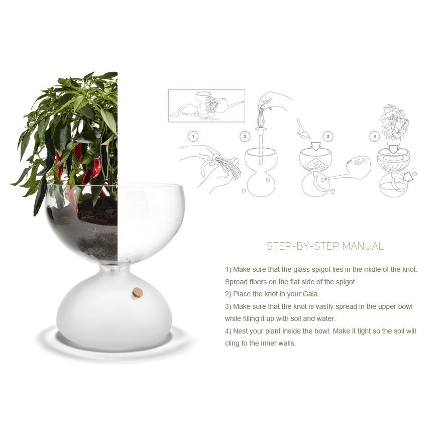 HOLMEGAARD ホルムガード GAIA PLANT GLASS ガイア プラントガラス