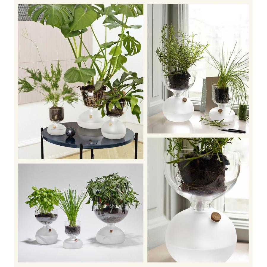 ホルムガード ガイア プラントグラス　大サイズ HOLMEGAARD ホルムガード GAIA PLANT GLASS ガイア プラントガラス