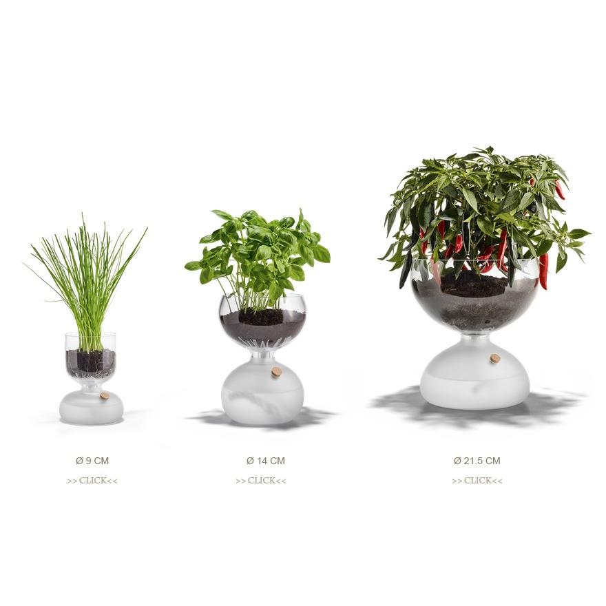 HOLMEGAARD ホルムガード GAIA PLANT GLASS ガイア プラントガラス