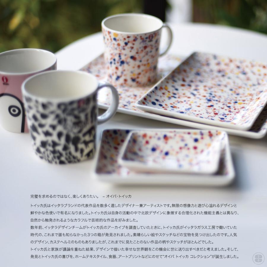 iittala イッタラ A6 plate 104×146mm オイバ・トイッカコレクション