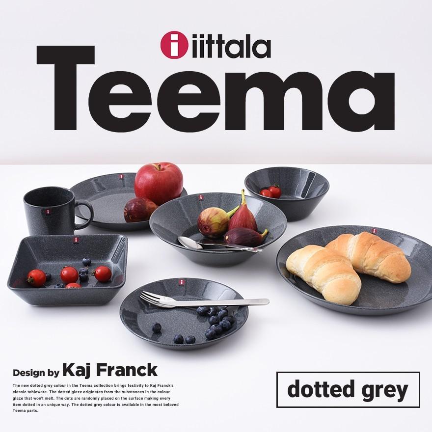 iittala iittala/イッタラ Teema Dotted Grey ティーマ プレート