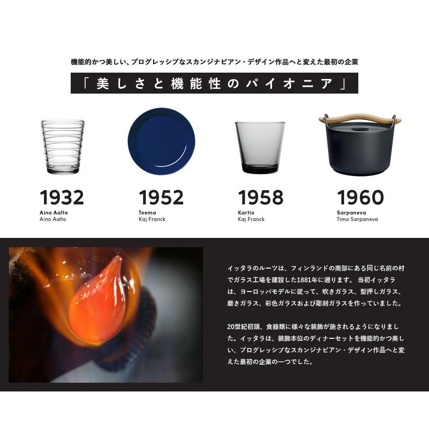 iittala（イッタラ） Teema Dotted Grey ティーマ ボウル 21cm