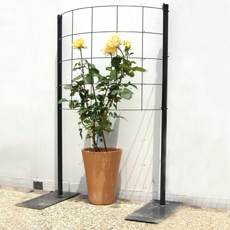 カラマリーナ つるバラ用トレリスフェンス カラマリーナ ハーフムーン リトル グリーンパネル 高級仕様 代金引換不可 Karamarina Halfmoon 1 Shinwashop 通販 Yahoo ショッピング