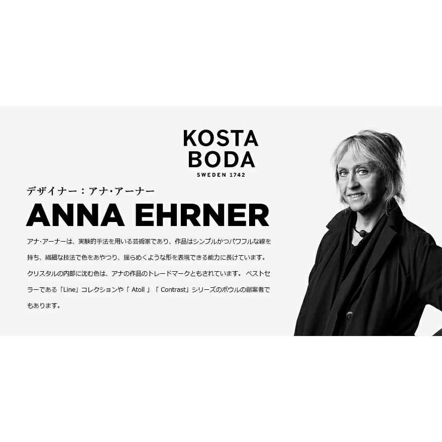 KOSTABOTA コスタ ボダ bruk plate プレート ガラス食器 テーブルウェア 中皿 キッ |  | 06