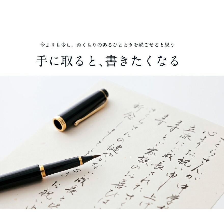 呉竹 くれたけ くれ竹万年毛筆 夢銀河 本革 緑DAY140-15 文具