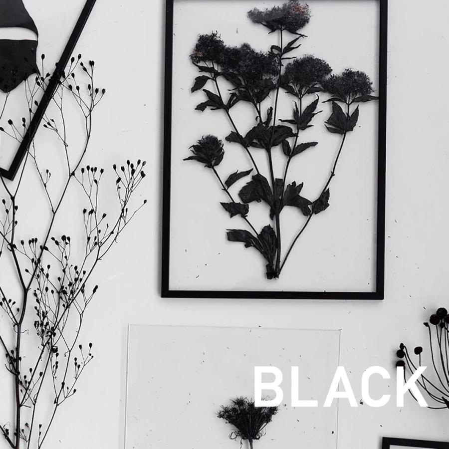 MOEBE ムーベ FRAME A3 フレーム オーク アッシュ ポスター