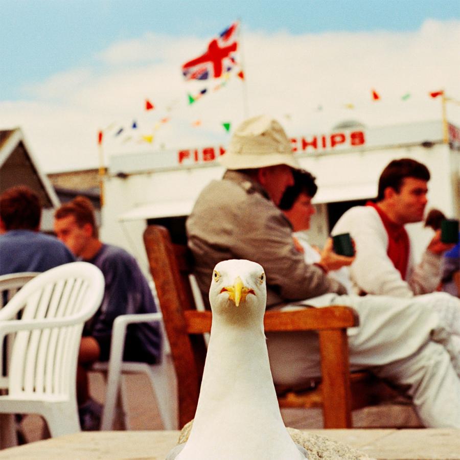 WRONGSHOP ロングショップ Martin Parr マーティン・パー West Bay ウェストベイ ポスター アート |  | 01