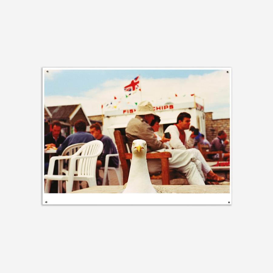 WRONGSHOP ロングショップ Martin Parr マーティン・パー West Bay ウェストベイ ポスター アート |  | 04