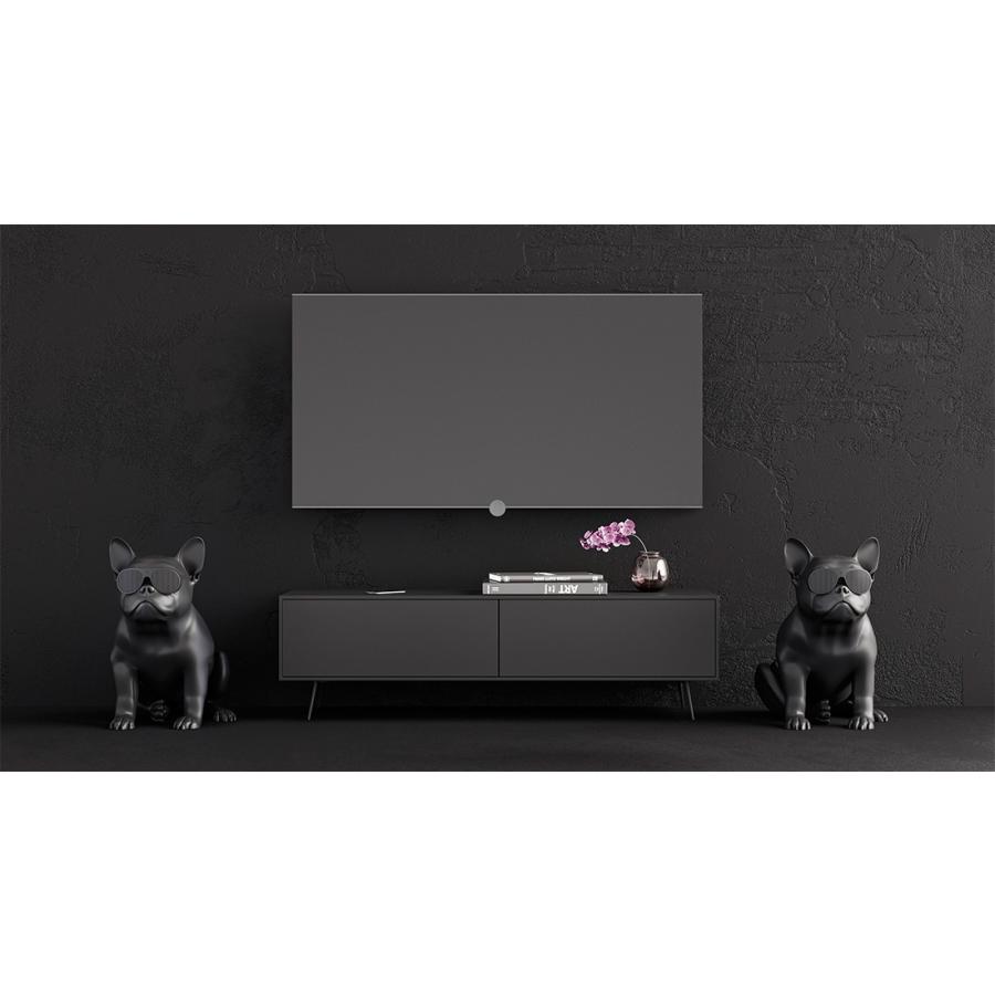 musiclife/ミュージックライフ AeroBull XS1 ワイヤレス musiclife/ミュージックライフ AeroBull XS1 ワイヤレス