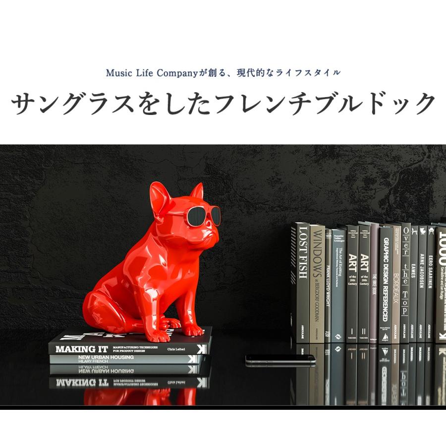 musiclife/ミュージックライフ AeroBull XS1 ワイヤレス musiclife/ミュージックライフ AeroBull XS1 ワイヤレス