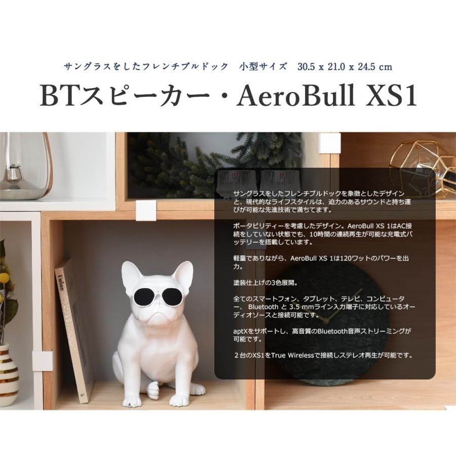 musiclife/ミュージックライフ AeroBull XS1 ワイヤレス musiclife/ミュージックライフ AeroBull XS1 ワイヤレス
