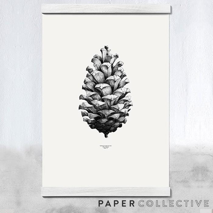Paper Collective パインコーン 松ぼっくり ホワイト 50x70cm ペーパーコレクティブ Pc Pinecone Wh Shinwashop 通販 Yahoo ショッピング