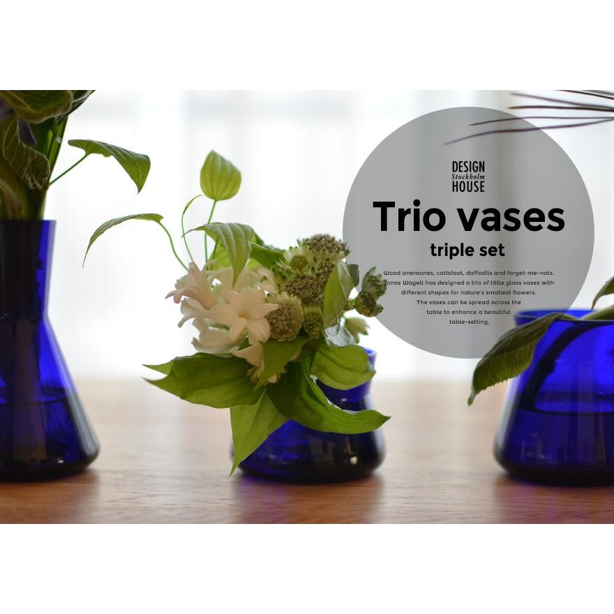 Design House Stockholm/トリオベース Trio base 花瓶 3点セット 花瓶/花器/水差し/ガラス/北欧/デザインハウスストックホルム｜shinwashop｜06