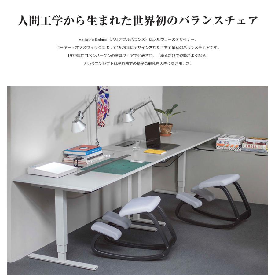 Varier VARIABLE MONOCHROME ヴァリエール バリアブル モノクローム