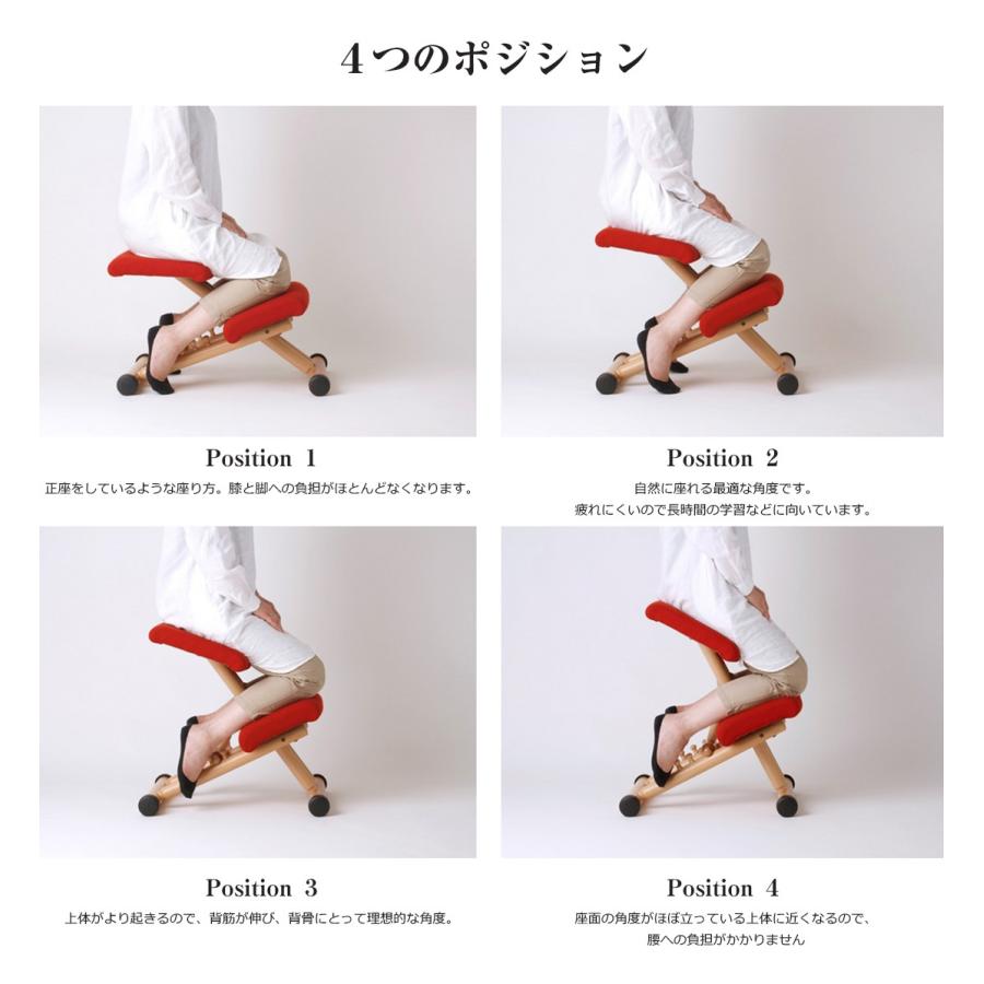 Varier ヴァリエール Multi Balans マルチバランス バランスチェア