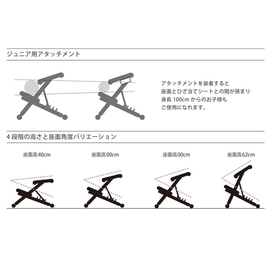 Varier ヴァリエール Multi Balans マルチバランス バランスチェア