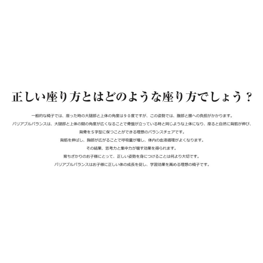 Varier ヴァリエール Variable Balans バリアブルバランス バランスチェア Gabriel FAME イス 椅子 chair dining ダイニング |  | 10