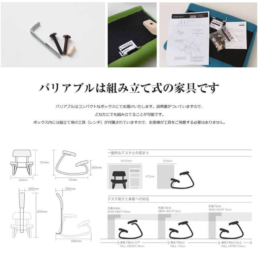 Varier ヴァリエール Variable Balans バリアブルバランス バランスチェア Gabriel FAME イス 椅子 chair dining ダイニング |  | 13