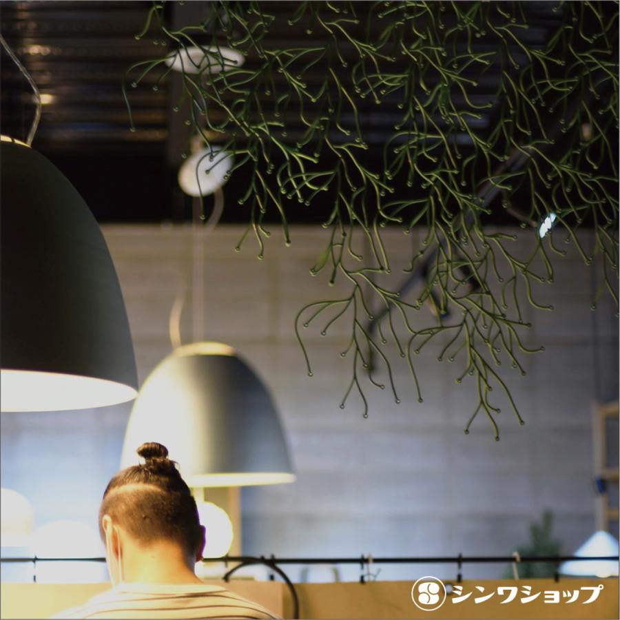 レビュー特典あり】vitra Algue アルギュ Ronan & Erwan Bouroullec