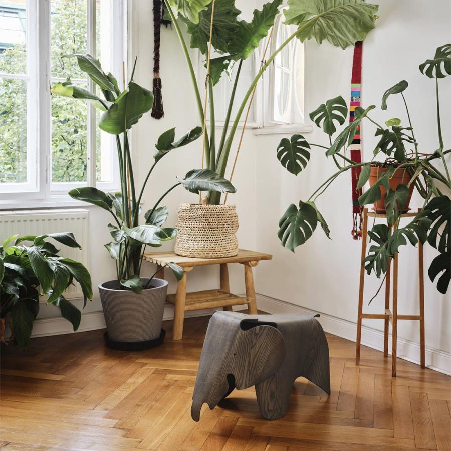 vitra ヴィトラ Eames Elephant Plywood イームズ エレファント vitra ヴィトラ Eames Elephant Plywood イームズ エレファント