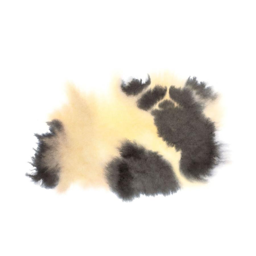 THEWRONGSHOP ロングショップ Rop van Mierlo ロプ・ファン・ミエルロ Bear Mandrill Crocodile ポスター単品 フレームセット |  | 05